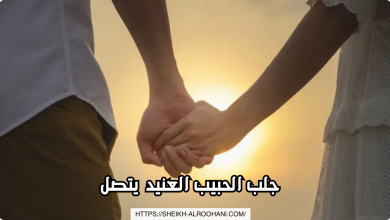 جلب الحبيب العنيد يتصل