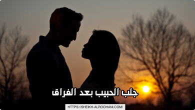 جلب الحبيب بعد الفراق