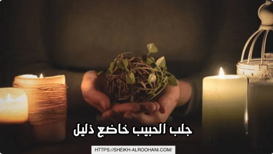 جلب الحبيب خاضع ذليل