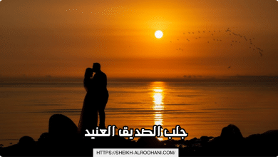 جلب الصديق العنيد