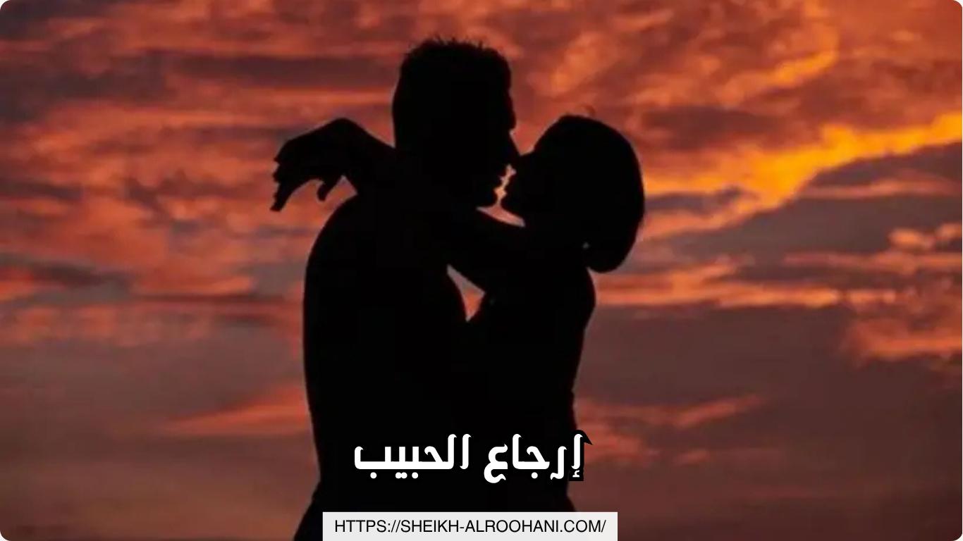 إرجاع الحبيب