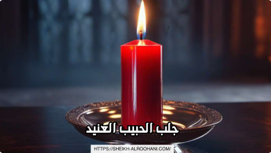 جلب الحبيب العنيد