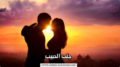 جلب الحبيب