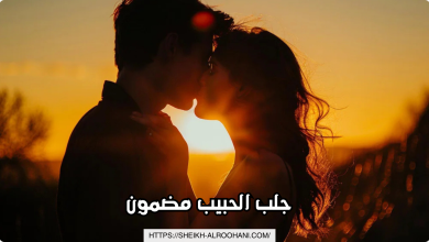 جلب الحبيب مضمون