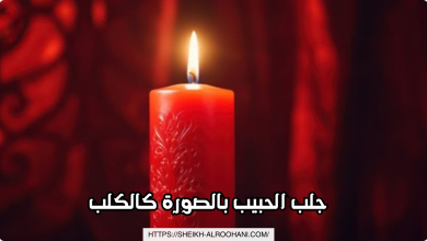 جلب الحبيب بالصورة كالكلب